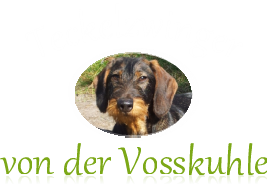 Von der Vosskuhle